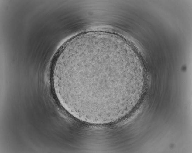 X0000116630830201001221359