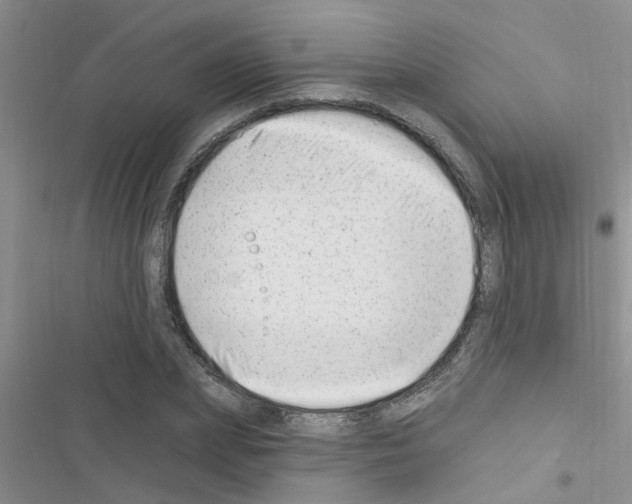 X0000116630831201001221359