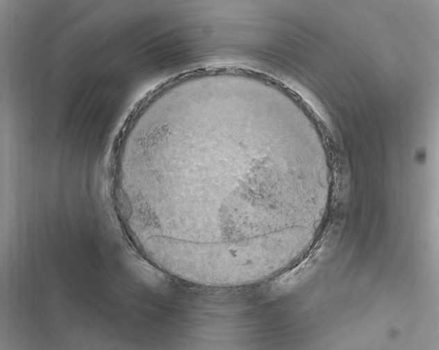 X0000116630832201001221359
