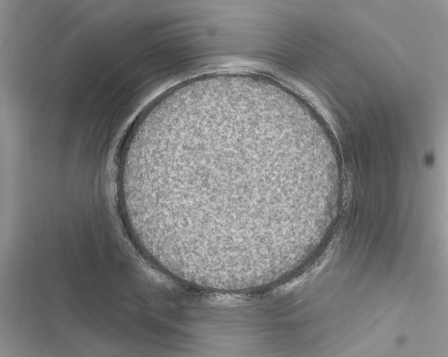 X0000116630835201001221359