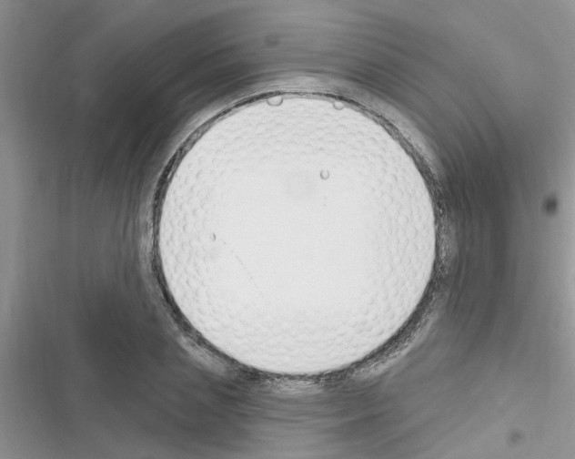 X0000116630837201001221359