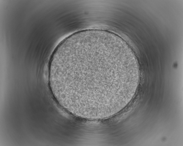 X0000116630838201001221359