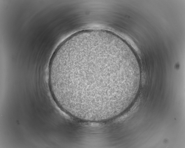 X0000116630839201001221359