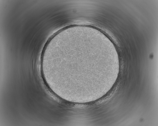 X0000116630840201001221359