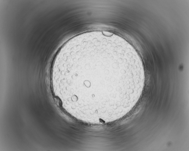 X0000116630843201001221359