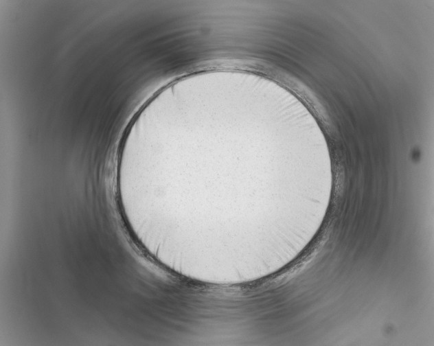 X0000116630844201001221359