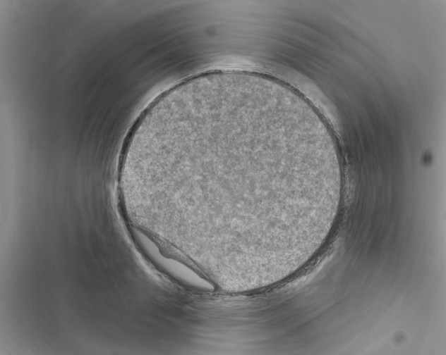 X0000116630845201001221359
