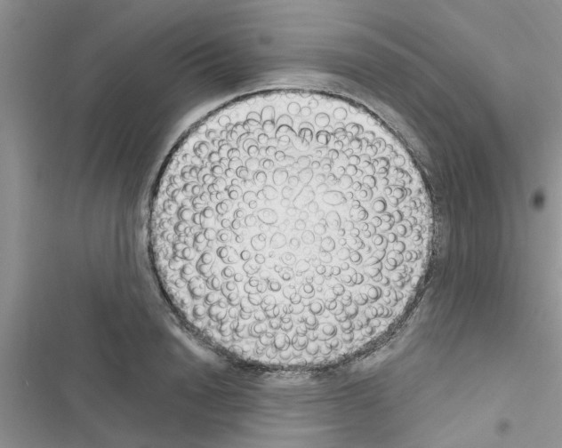 X0000116630846201001221359