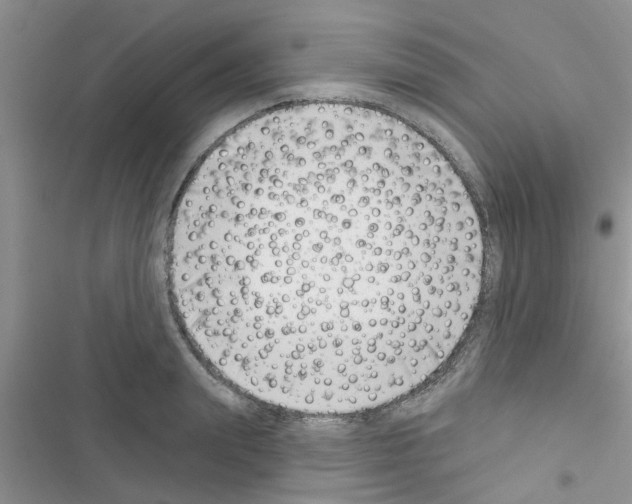 X0000116630847201001221359