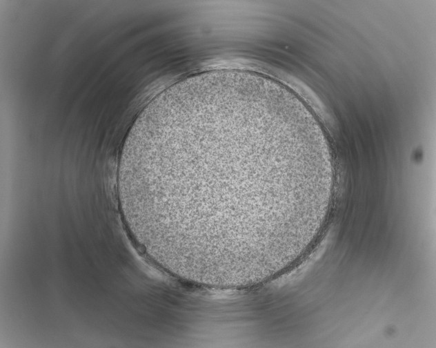 X0000116630849201001221359