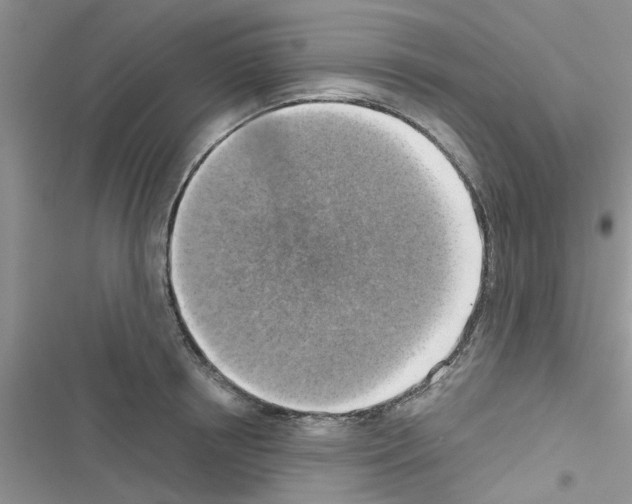 X0000116630850201001221359