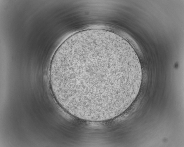 X0000116630852201001221359