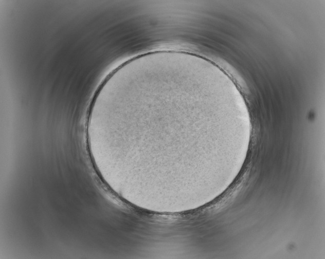 X0000116630854201001221359