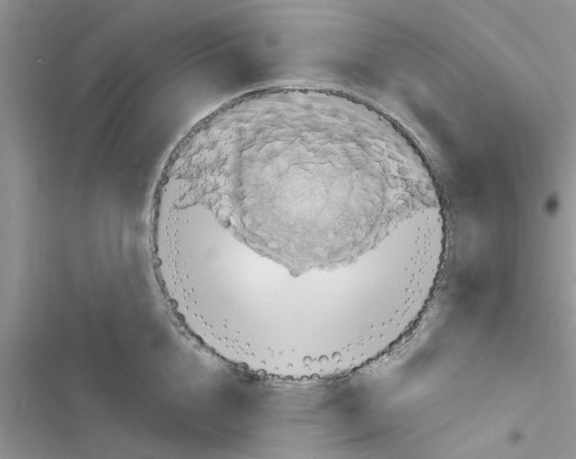 X0000116630856201001221359