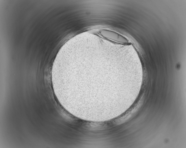 X0000116630857201001221359