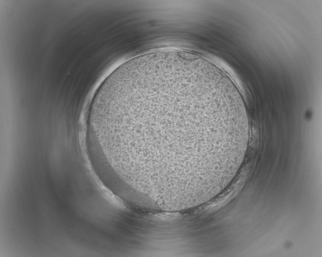 X0000116630859201001221359