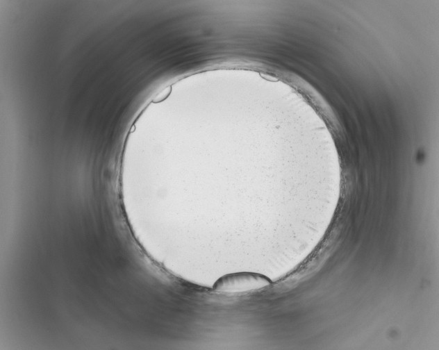 X0000116630860201001221359