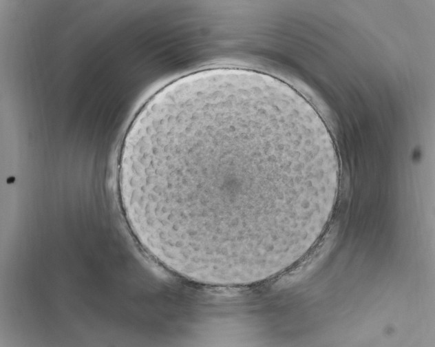 X0000116630862201001221359