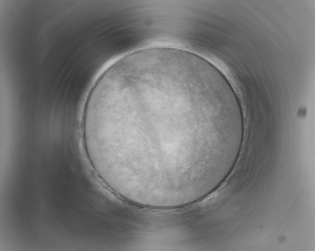X0000116630864201001221359