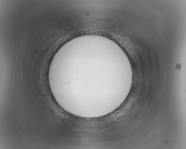 X0000116630865201001221359
