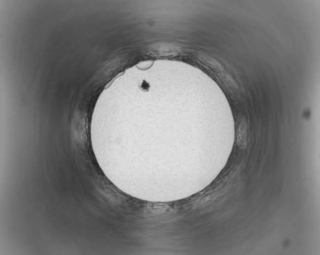 X0000116630866201001221359