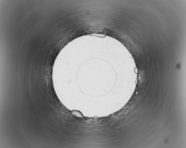 X0000116630867201001221358