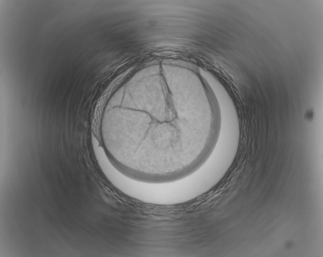 X0000116630868201001221358
