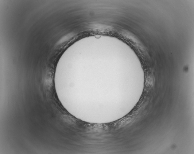 X0000116630869201001221358