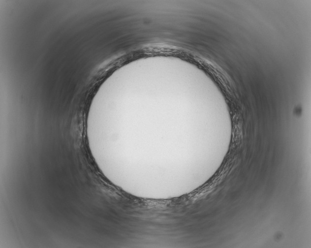 X0000116630870201001221358