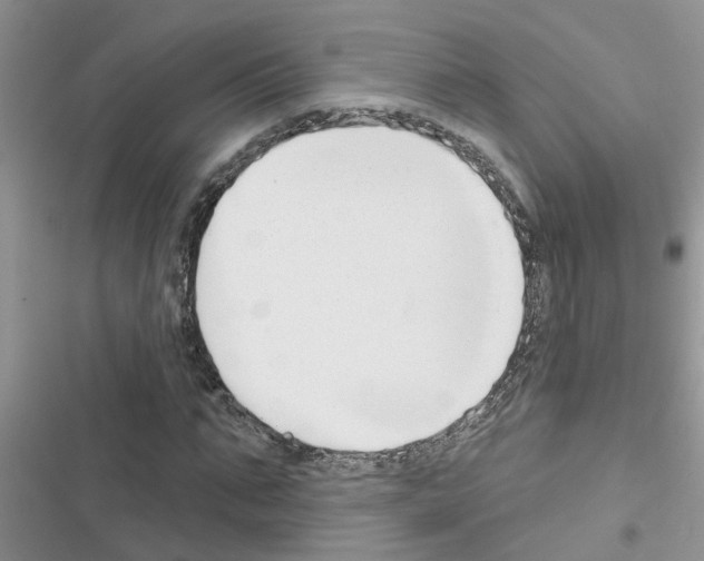 X0000116630871201001221358