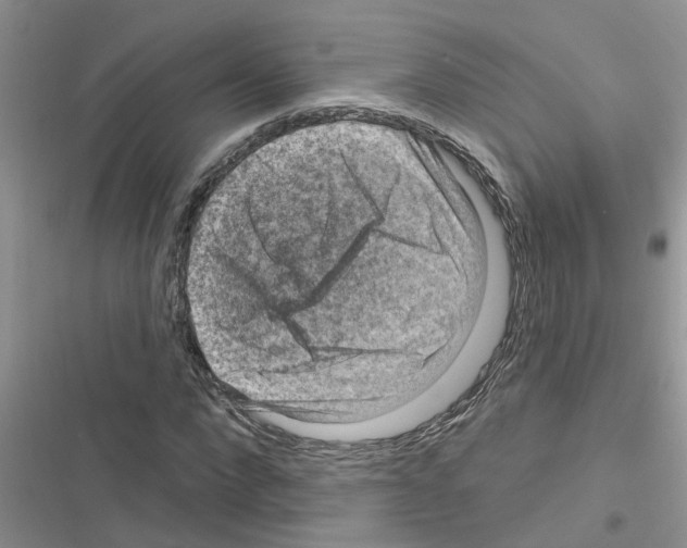 X0000116630872201001221358