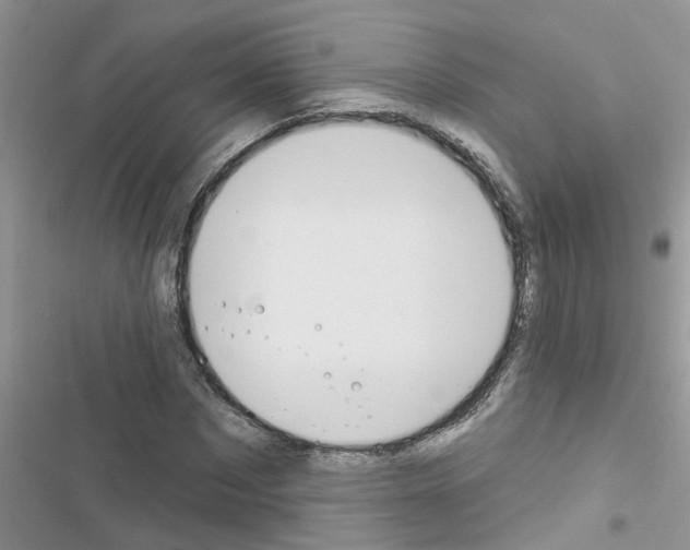 X0000116630873201001221358