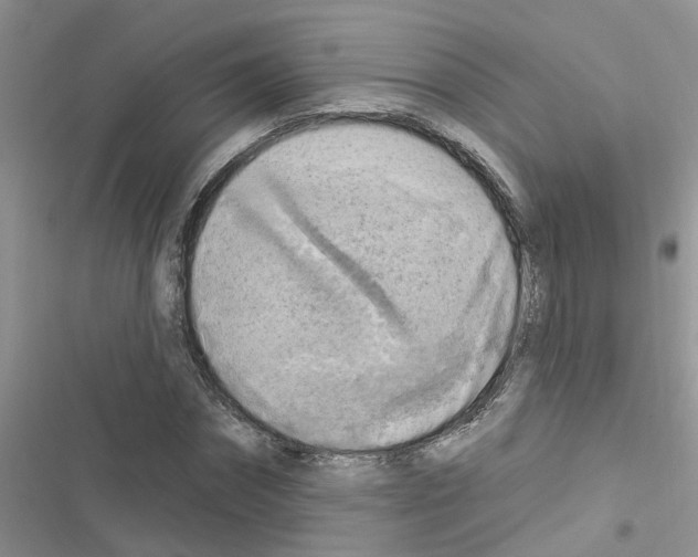 X0000116630874201001221358