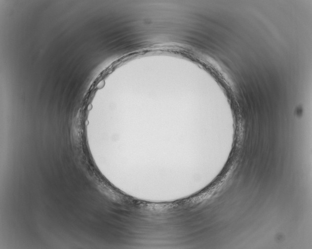 X0000116630875201001221358