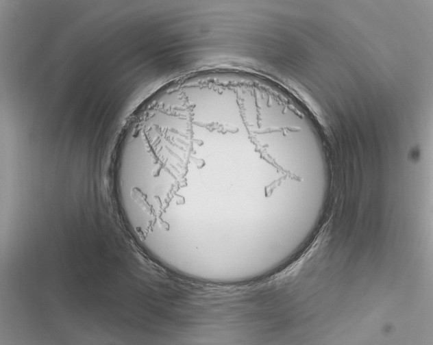 X0000116630877201001221358