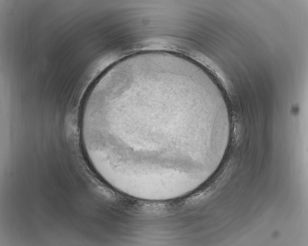 X0000116630882201001221358