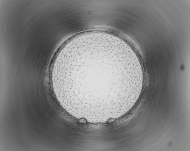 X0000116630883201001221358