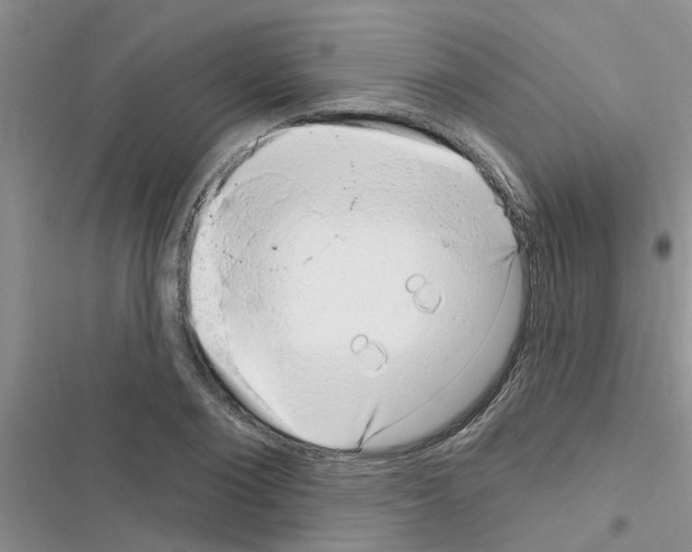 X0000116630884201001221358