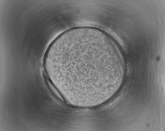 X0000116630885201001221358