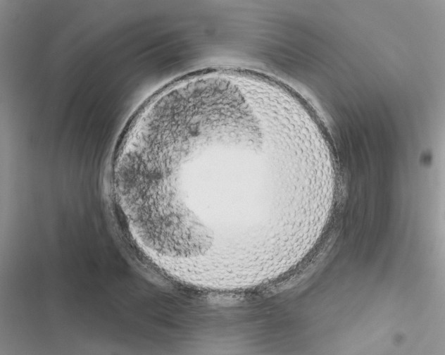 X0000116630887201001221358