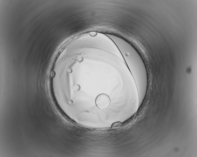 X0000116630888201001221358
