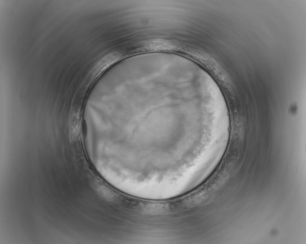 X0000116630889201001221358