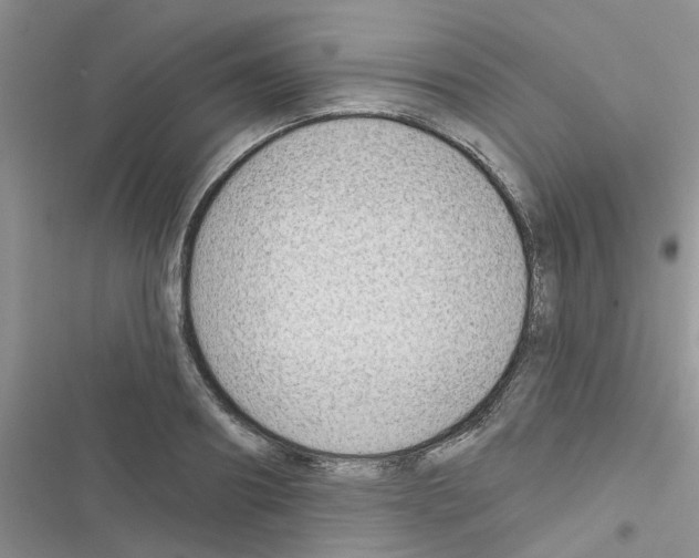X0000116630890201001221358