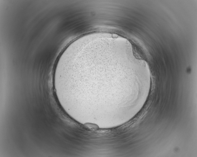 X0000116630891201001221358