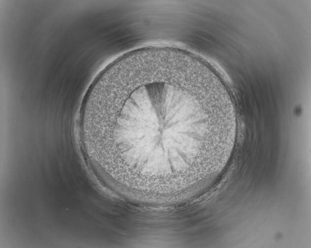 X0000116630895201001221358