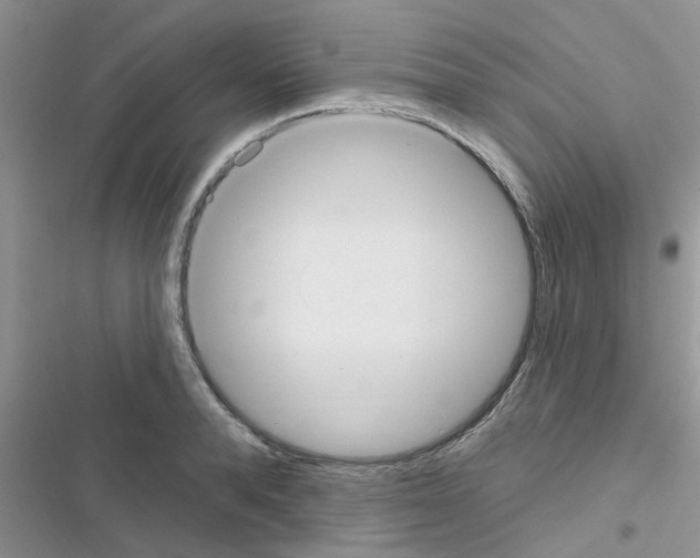 X0000116630896201001221358