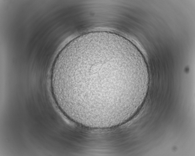X0000116630898201001221358