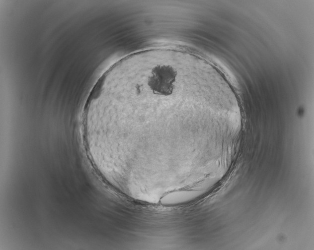 X0000116630899201001221358