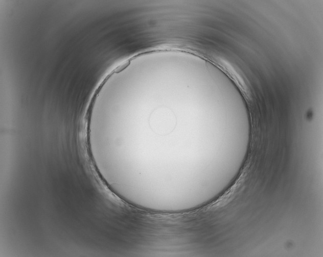 X0000116630900201001221358