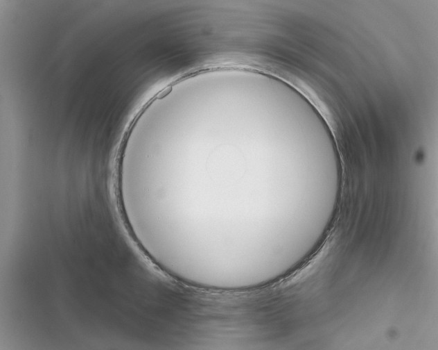 X0000116630901201001221358